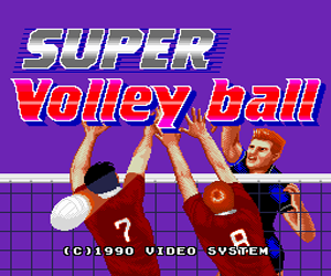 Super Volleyball (Japan) Screenshot